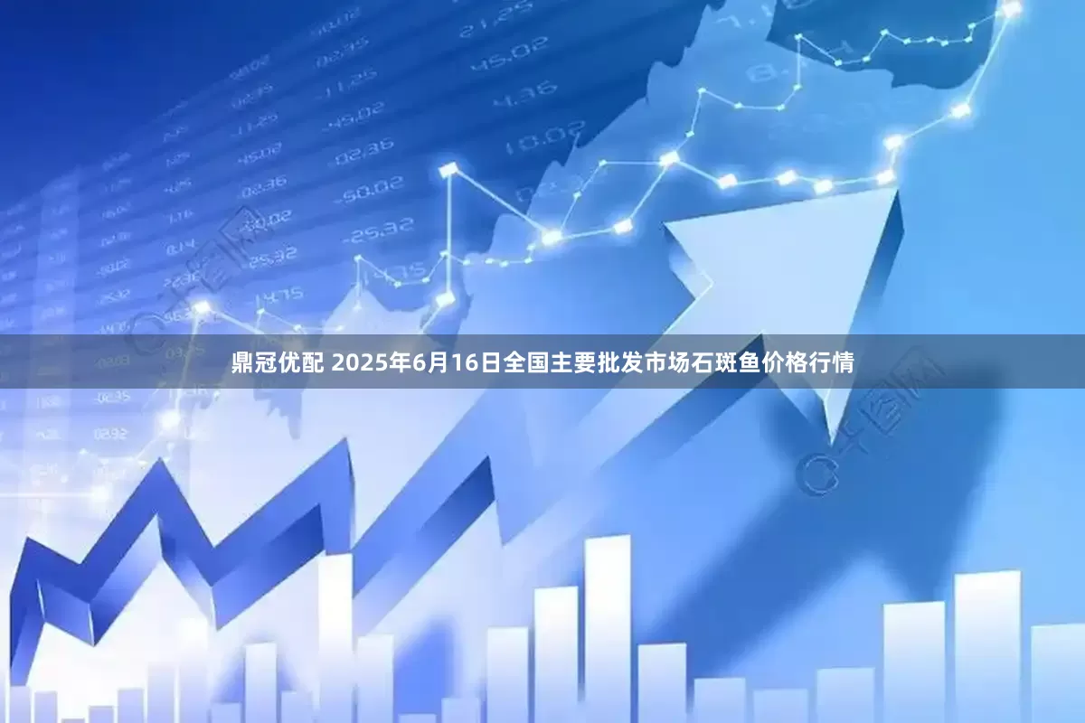 鼎冠优配 2025年6月16日全国主要批发市场石斑鱼价格行情