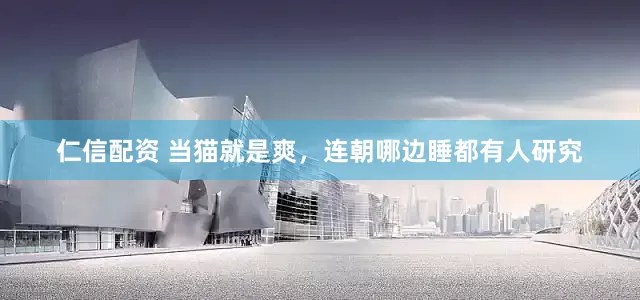 仁信配资 当猫就是爽，连朝哪边睡都有人研究