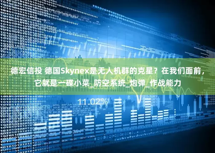 德宏信投 德国Skynex是无人机群的克星？在我们面前，它就是一碟小菜_防空系统_炮弹_作战能力