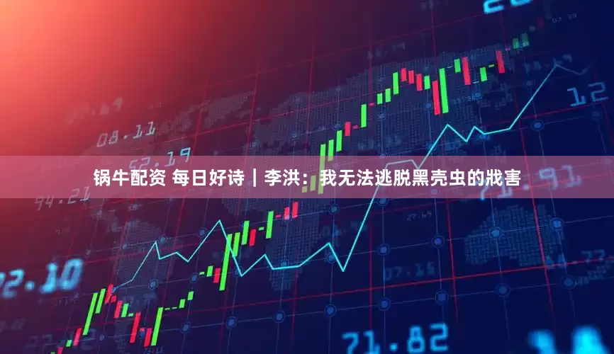 锅牛配资 每日好诗｜李洪：我无法逃脱黑壳虫的戕害