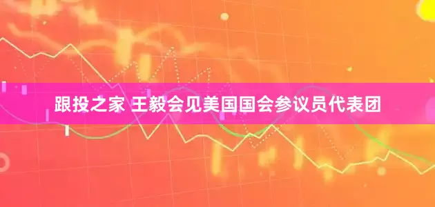 跟投之家 王毅会见美国国会参议员代表团